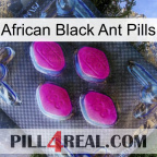 African Black Ant Pills 02